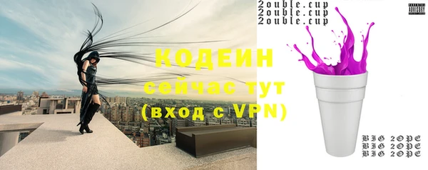 МДПВ Бородино