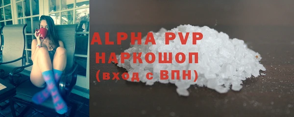 МДПВ Бородино