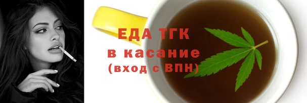 МДПВ Бородино