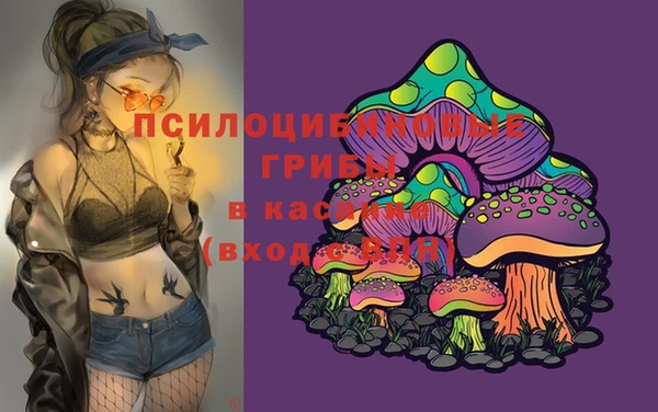 таблы Бронницы