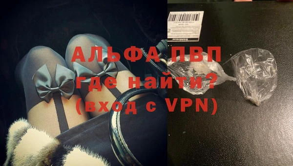 МДПВ Бородино