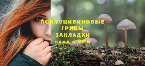 МДПВ Бородино