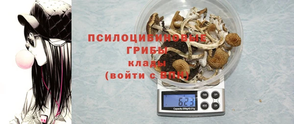 МДПВ Бородино